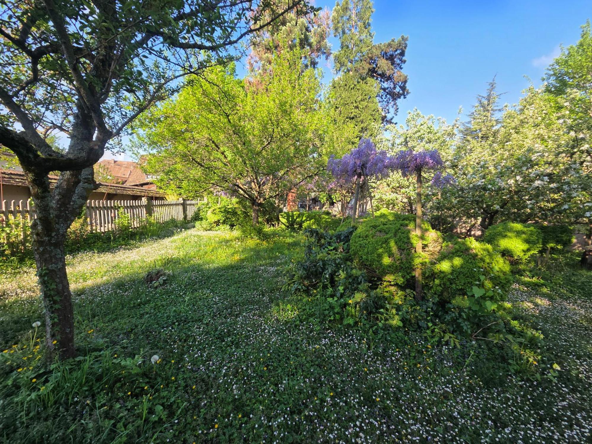 Villa Nid de Cigognes Barr Exterior foto