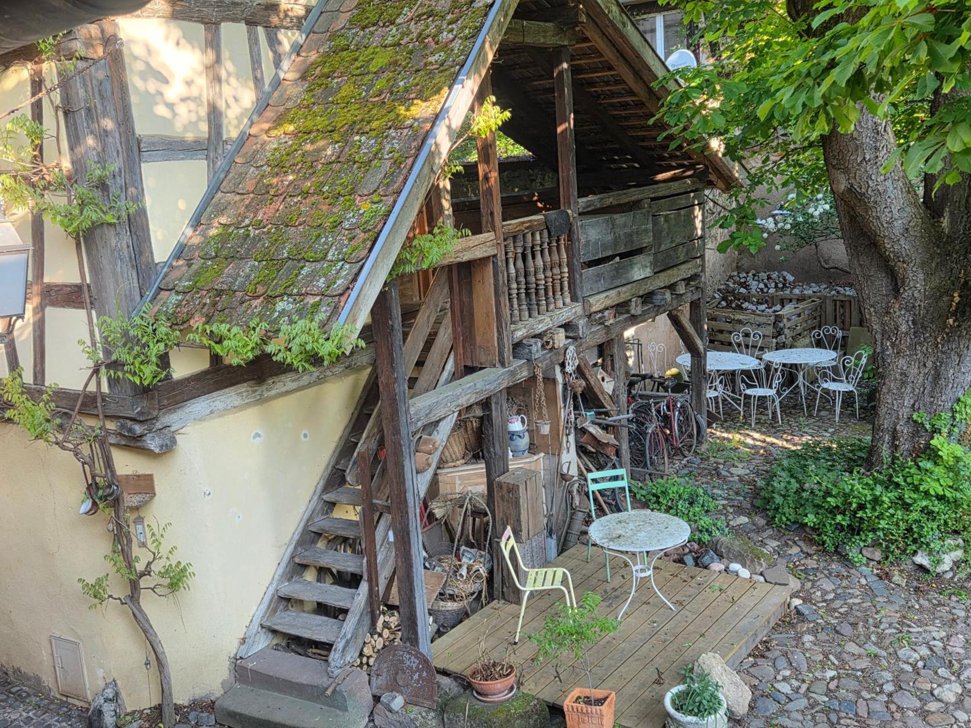 Villa Nid de Cigognes Barr Exterior foto
